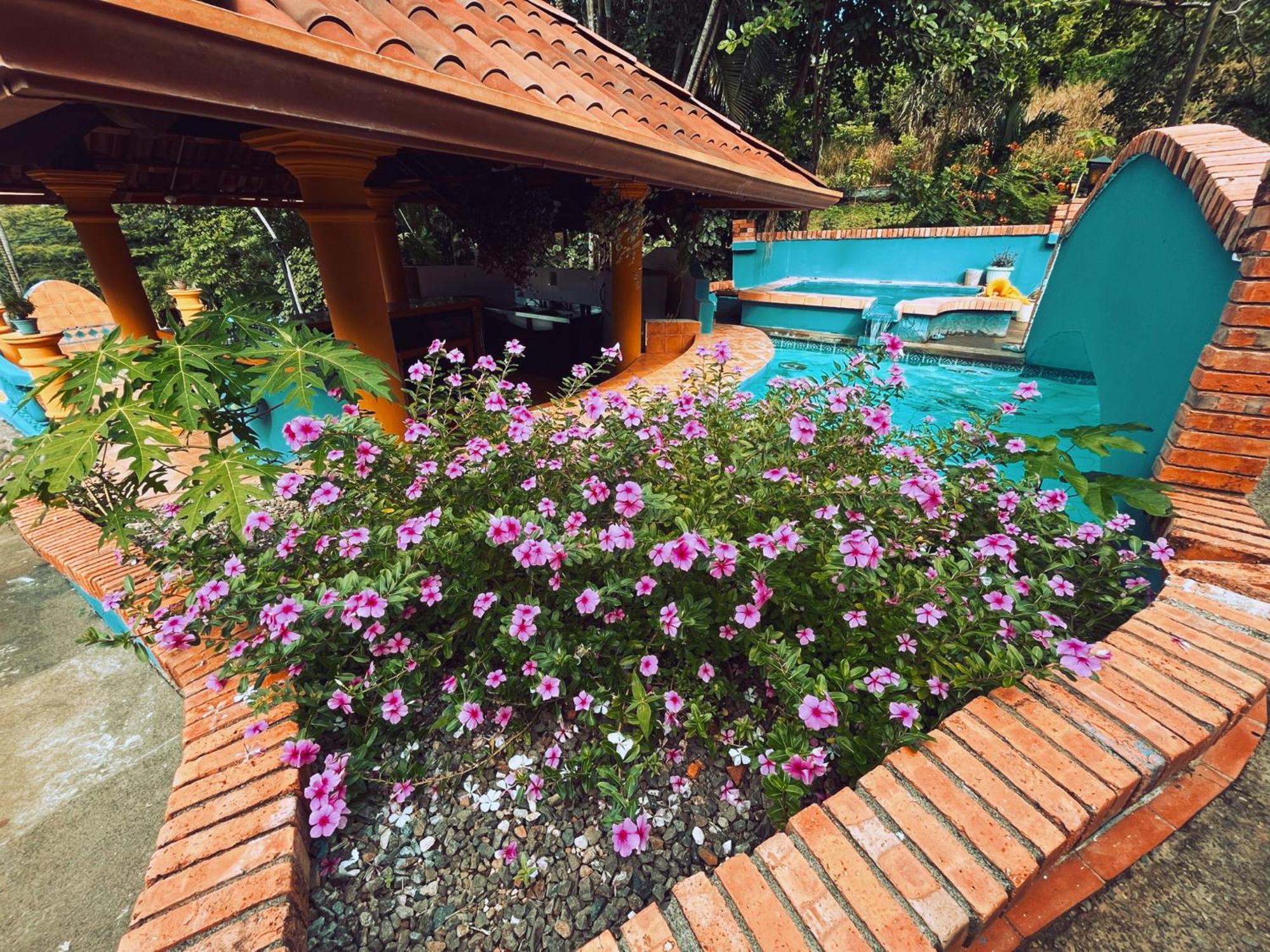 Siwo Art Guesthouse Playa Ocotal Eksteriør billede